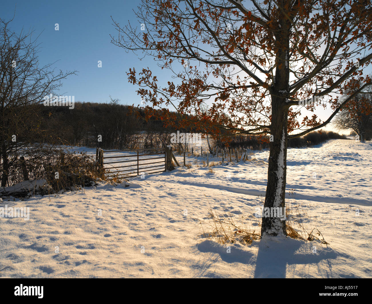Winter in den Yorkshire Dales Nordengland Stockfoto