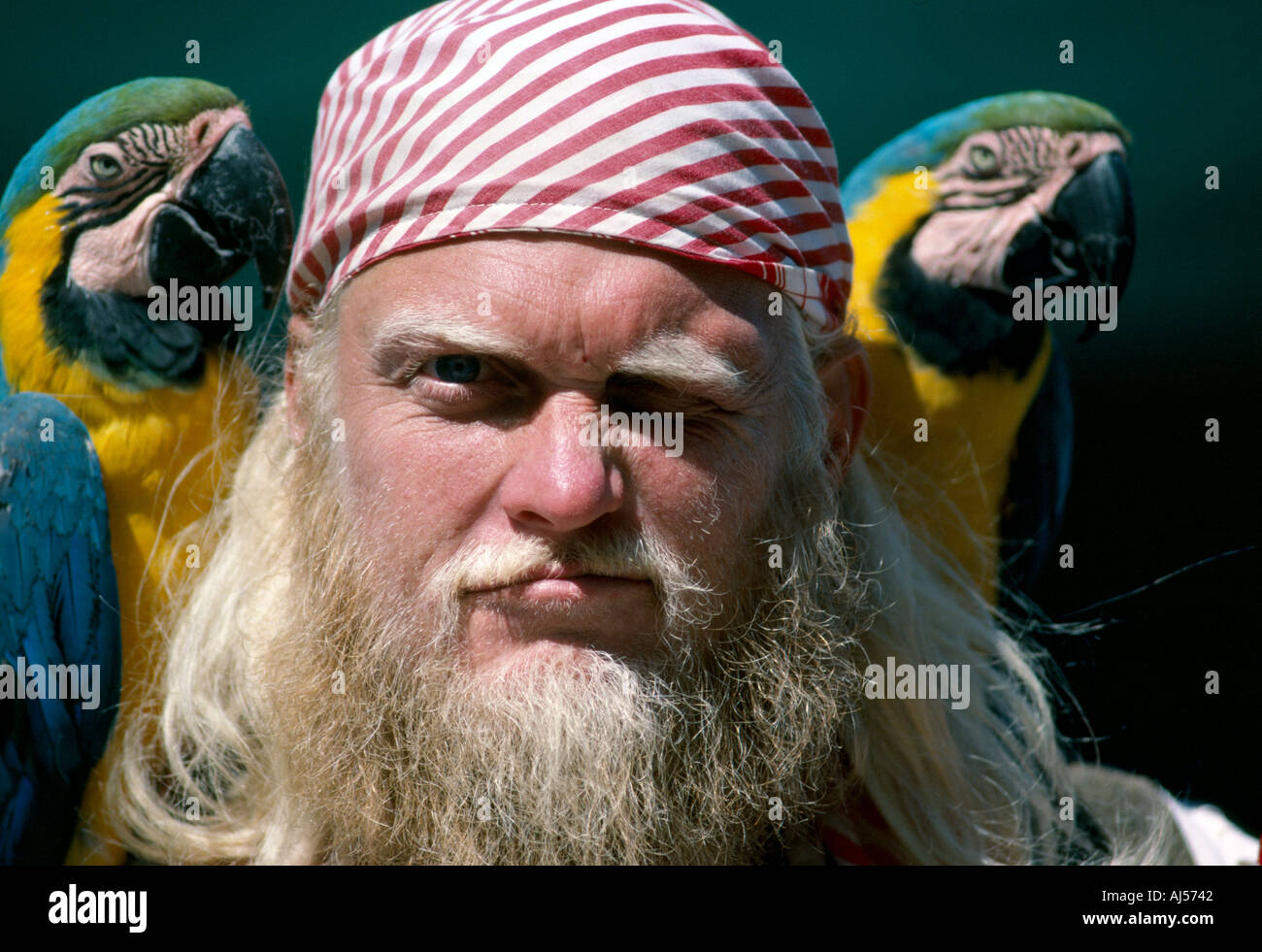 CA San Francisco Street Performer bei Fisherman s Wharf Gegend Pirat mit Papageien Stockfoto