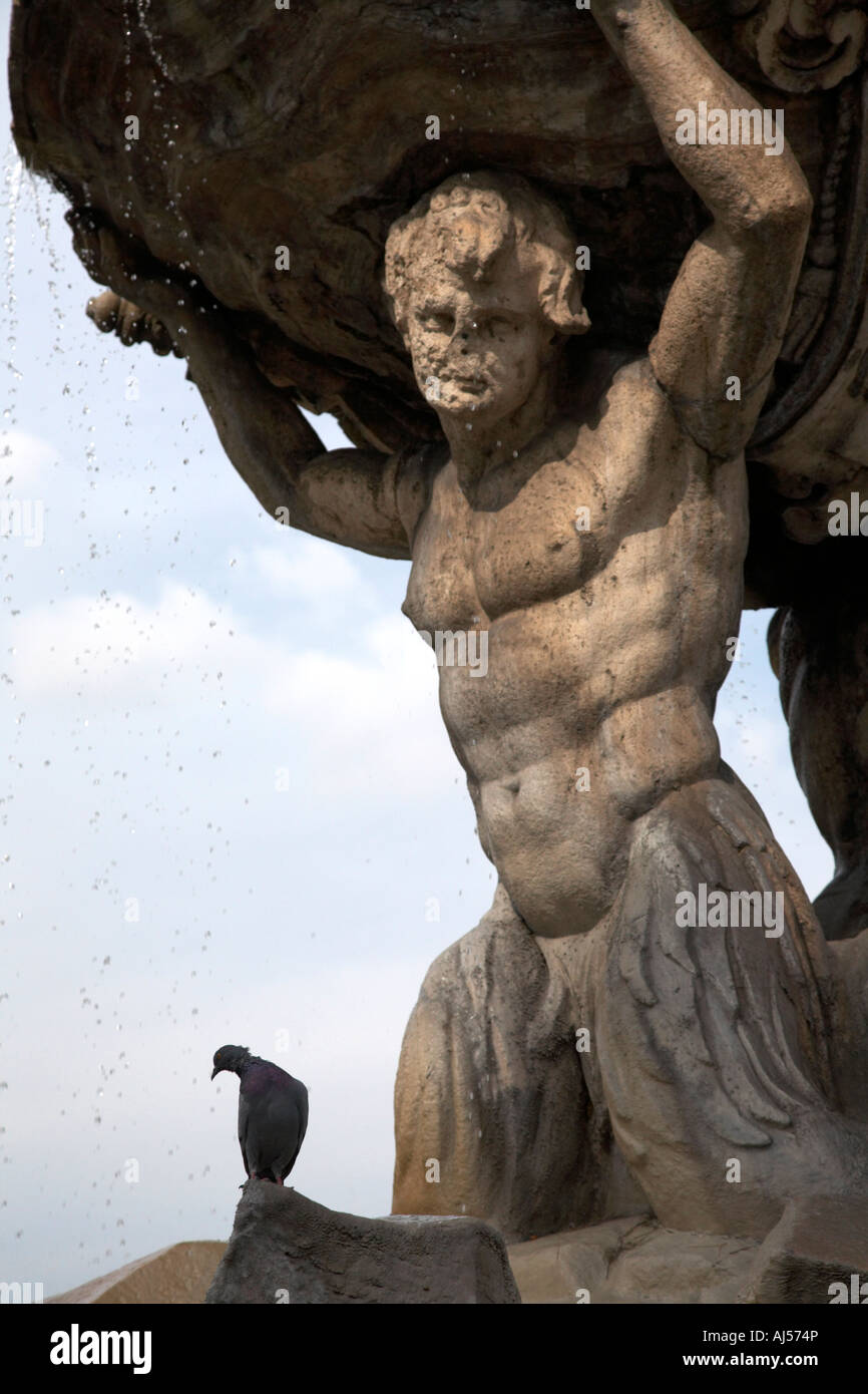 Taube auf Tritonen-Brunnen Statue in Piazza Bocca Della Verita Rome Italien Stockfoto