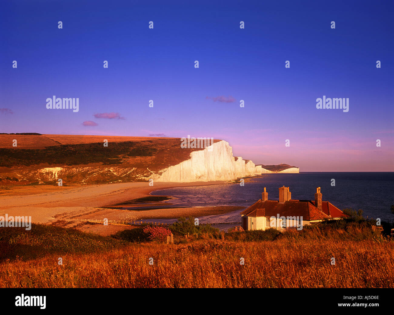 Beachy Head South Downs East Sussex England Uk Stockfoto