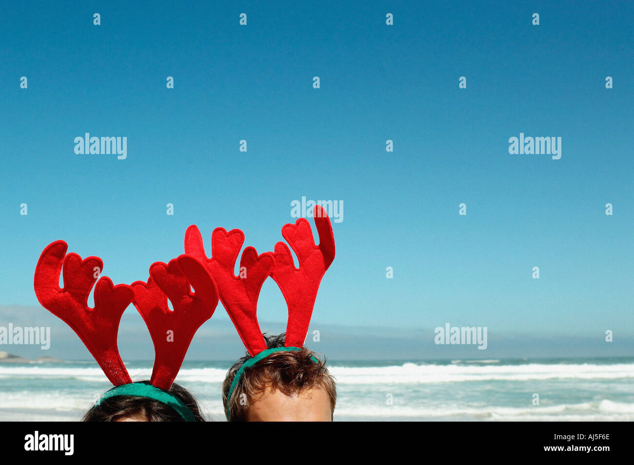 Totes Rentier Renntier kopf -Fotos und -Bildmaterial in hoher Auflösung – Alamy
