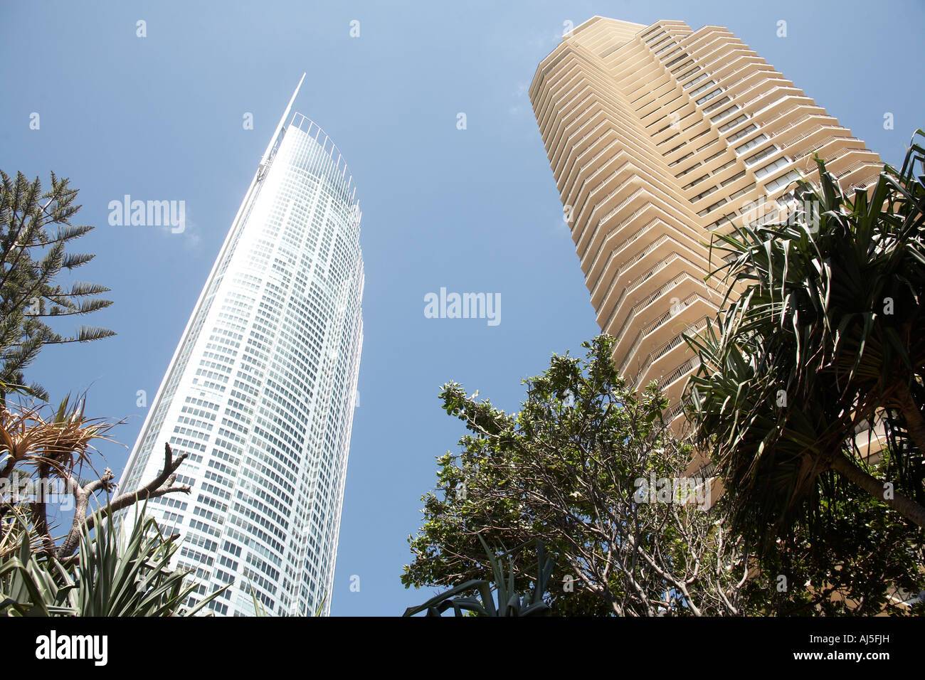 Appartment oder Hotel Einheit Block Gebäude mit Q1 Tower in Surfers Paradise Queensland QLD Australien Stockfoto