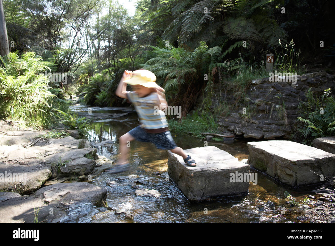 Kleiner junge Kind springen vom Sprungbrett über Bach im Wald in der Nähe von Katoomba Blue Mountains New South Wales NSW Australia C Stockfoto