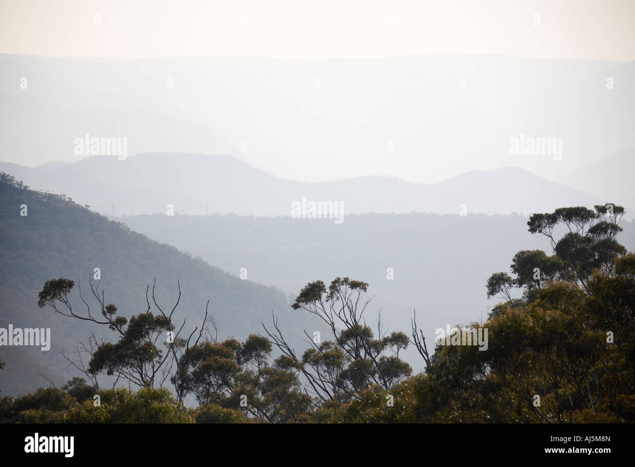 Malerische Aussicht über Bäume und Wald auf fernen Dunst in Blue Mountains New South Wales NSW Australia Stockfoto