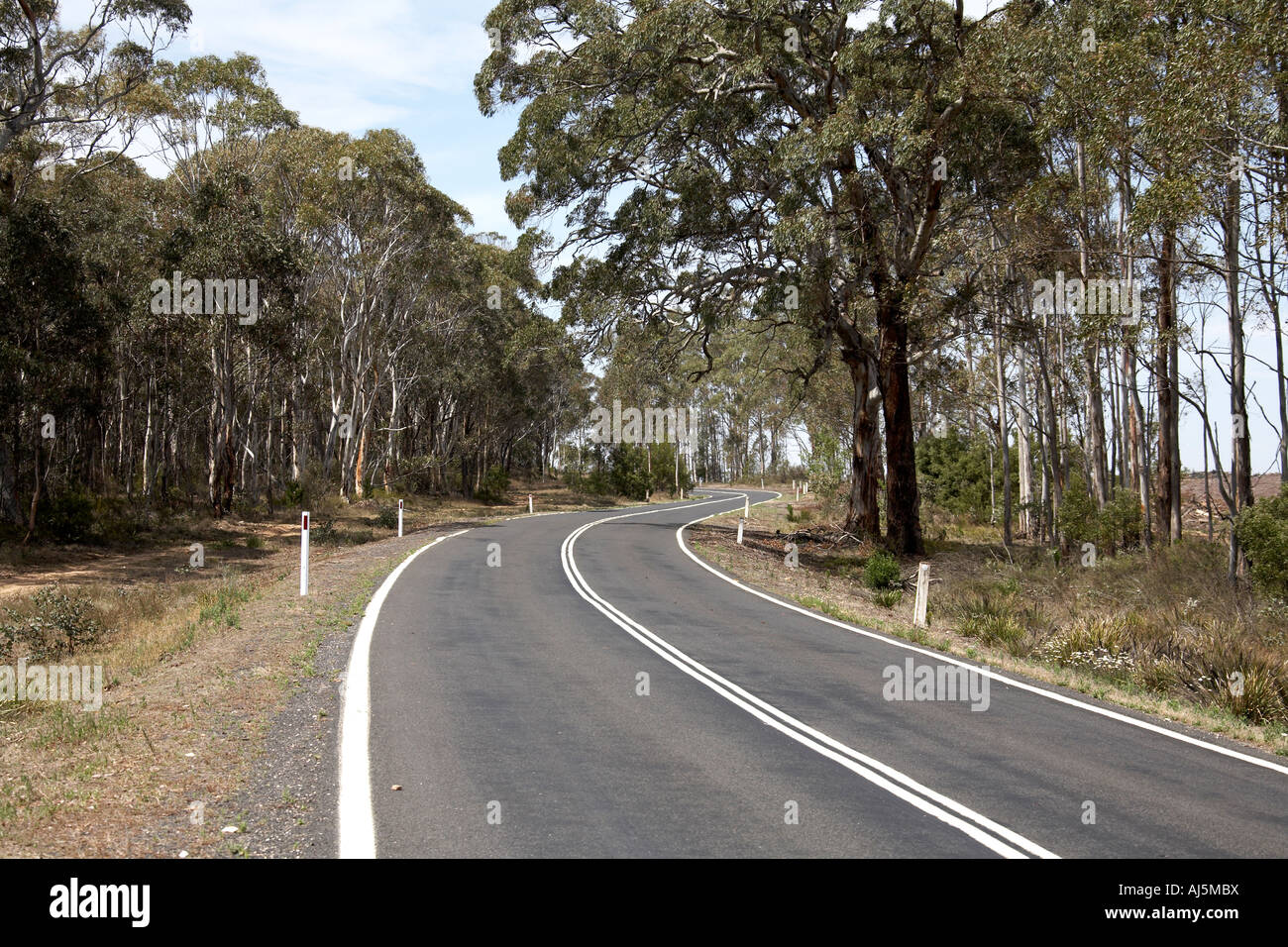 Straße mit der Kurve zurück in die Ferne Landschaft in der Nähe von Hampton mit Eukalyptusbäumen in Blue Mountains New South Wales NSW Aust Stockfoto