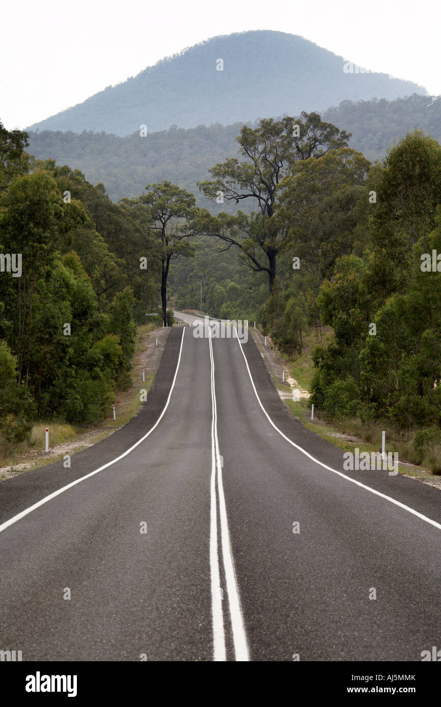 Weg zurück in die Ferne durch Kaugummi oder Eukalyptus Baum Wälder in Blue Mountains New South Wales NSW Australia Stockfoto