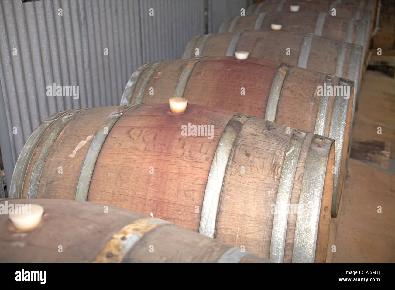 Große Eiche Barrells im Tyrrell s Weine Weingut im Hunter Valley Weingebiet von New South Wales NSW Australia Stockfoto