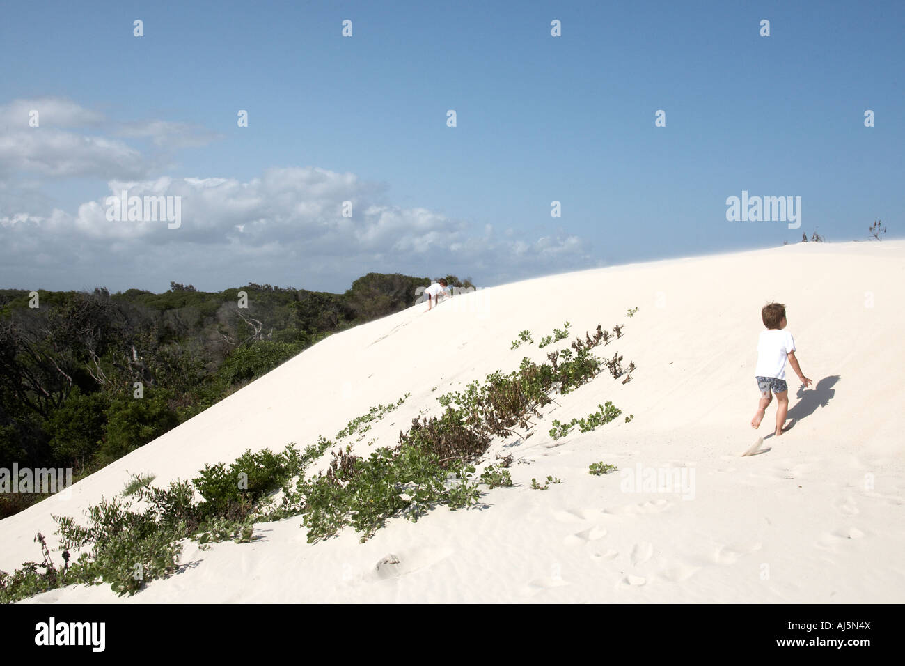 Yong junge Kind zu Fuß hinauf Yacaaba Sanddünen in der Nähe von Hawks Nest Port Stephens New South Wales New South Wales Australien CJWH Stockfoto