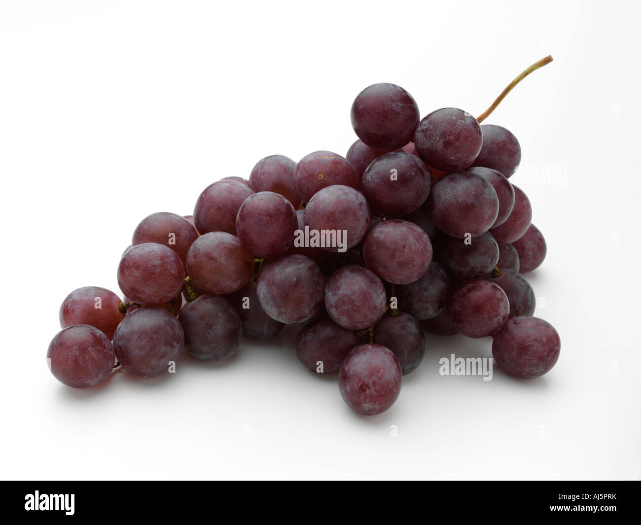 Rote Traube auf weißem Grund Stockfoto