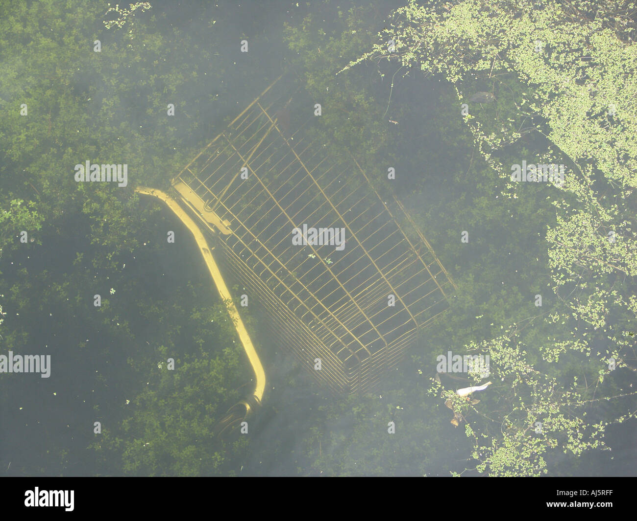 Nasses Grab für Einkaufswagen 2 Stockfoto