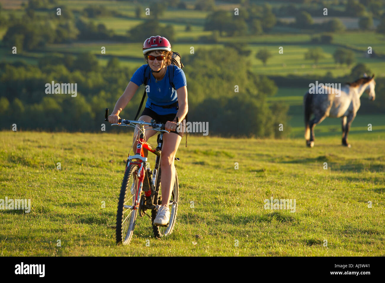 Frau auf Mountainbike Radfahren unter Pferde auf Hambledon Hill über die Blackmore Vale Dorset England UK Stockfoto