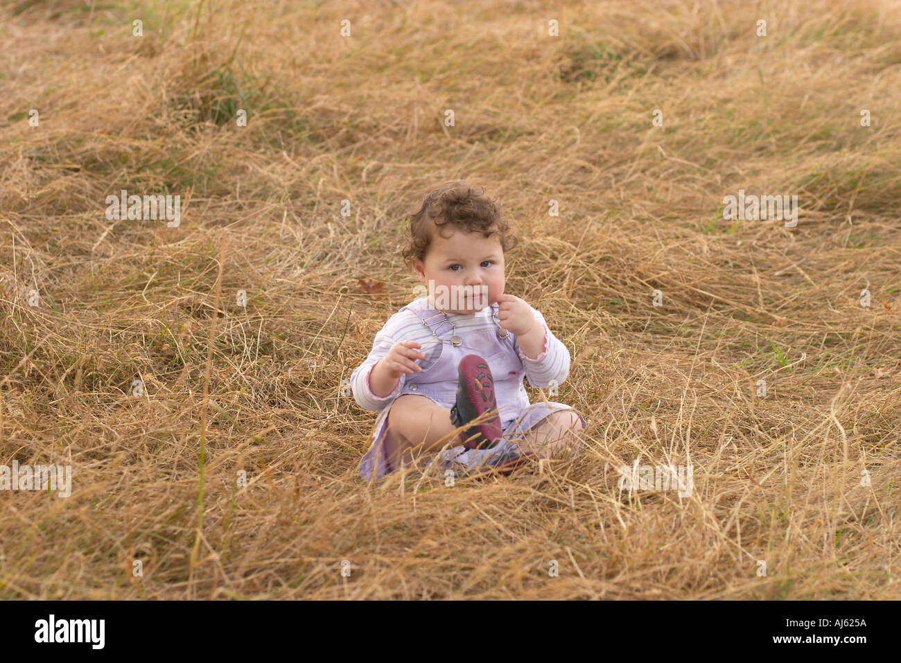 Kleinkind sitzt in einem Feld einen Stiel Gras essen Stockfoto