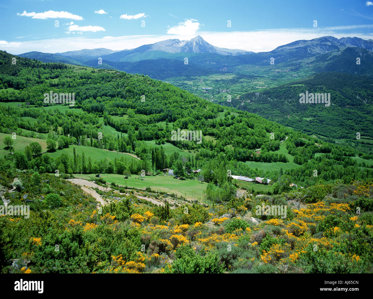 Spanischen Pyrenäen in der Nähe von Serra del Cadi in Katalonien Stockfoto
