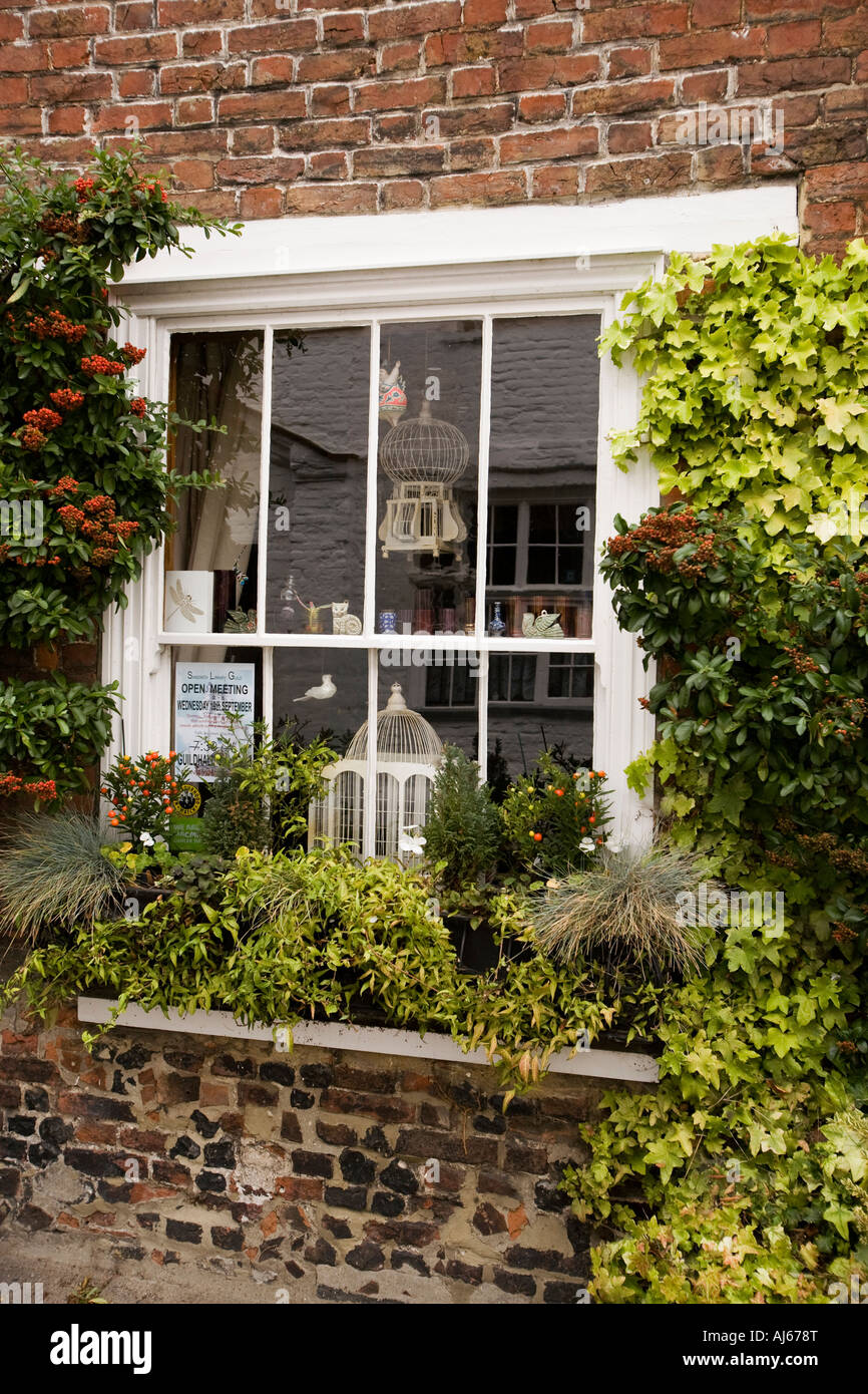 Königreich Kent Sandwich St Peters Street House Blumenkasten umrahmt von Kletterpflanzen Stockfoto