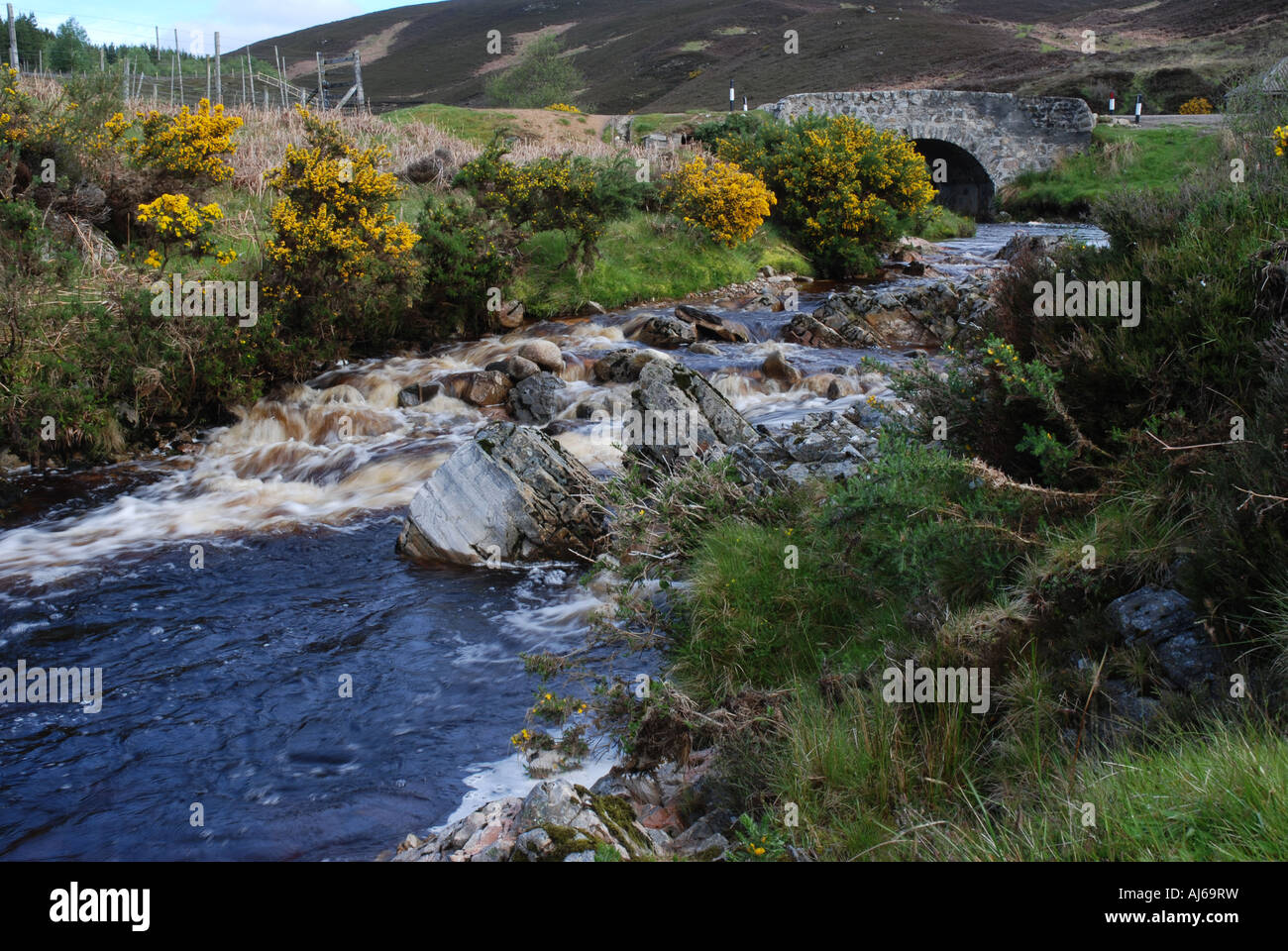 Stonebridge über Helmsdale Creek Strath Kildonan Frühling Hochland Schottland Stockfoto