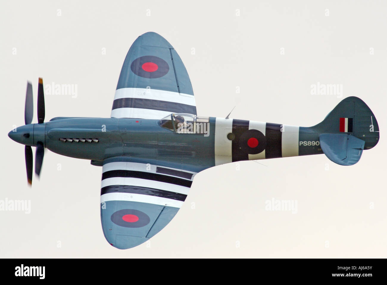 Griffon engined Spitfire mit Contra-rotierenden Propellern fliegen Duxford Airfield England UK Stockfoto