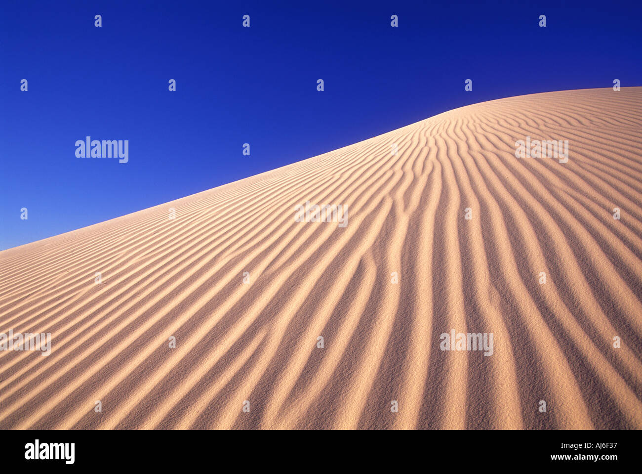 Sanddünen im White Sands National Monument in New Mexico USA Stockfoto