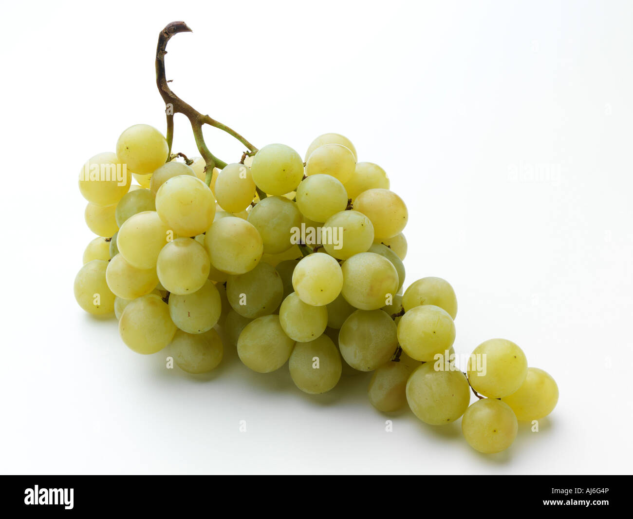 Grüne Traube auf weißem Grund Stockfoto