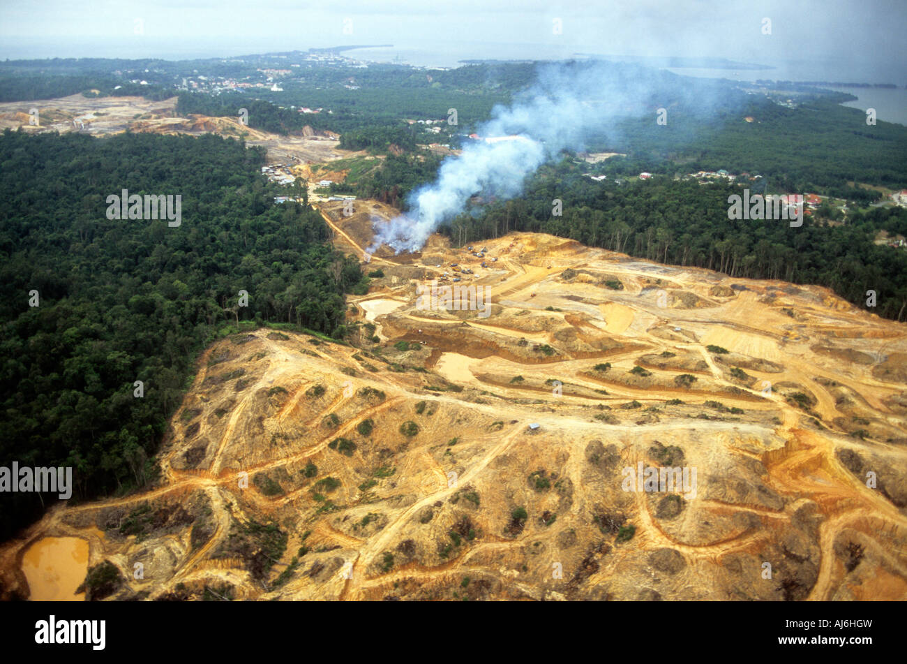 Dschungel Entwaldung in Südost-Asien. Stockfoto