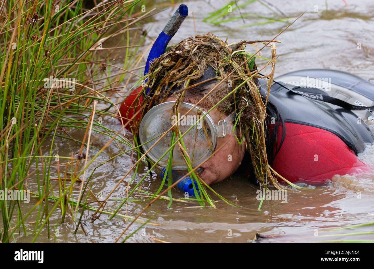 Irlands Julia Galvin im Wettbewerb mit den Weltmeisterschaften Bog Schnorcheln bei Llanwrtyd Wells Powys Wales UK Stockfoto