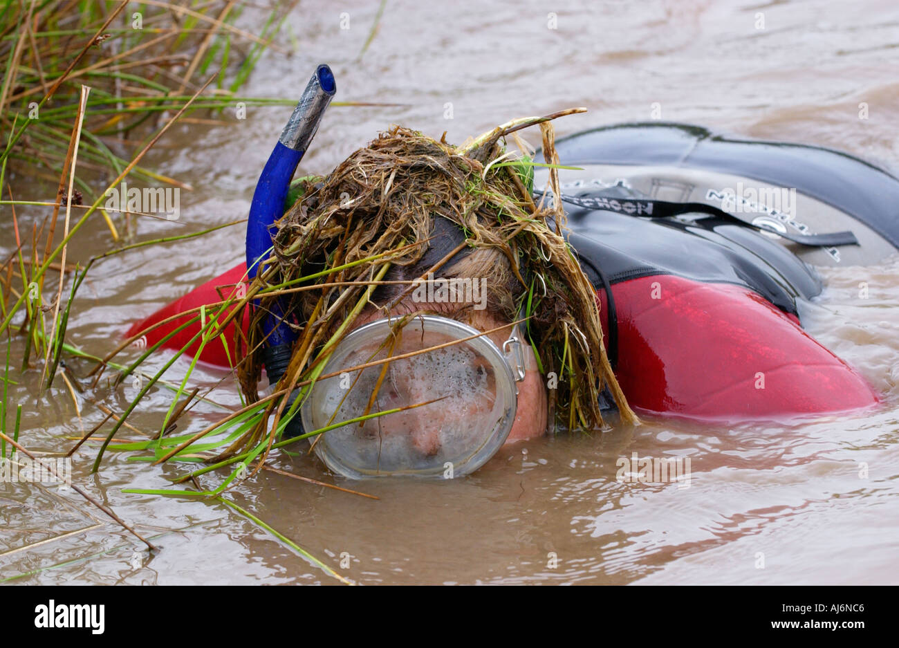 Irlands Julia Galvin im Wettbewerb mit den Weltmeisterschaften Bog Schnorcheln bei Llanwrtyd Wells Powys Wales UK Stockfoto