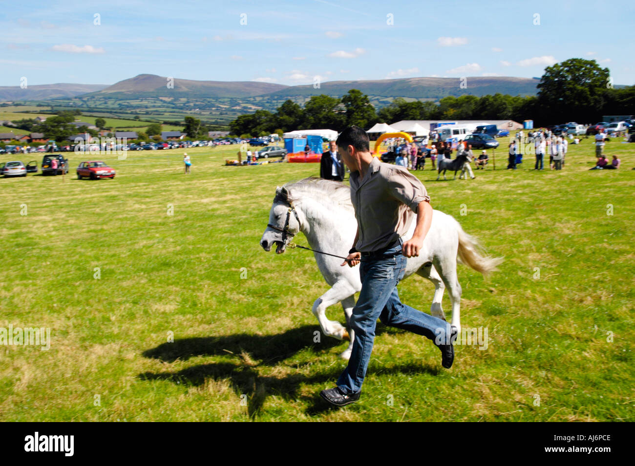 Pferdevorführung Wettbewerb bei Llanfihangel Talyllyn Agricultural Show in der Nähe von Brecon Powys Wales UK GB Stockfoto