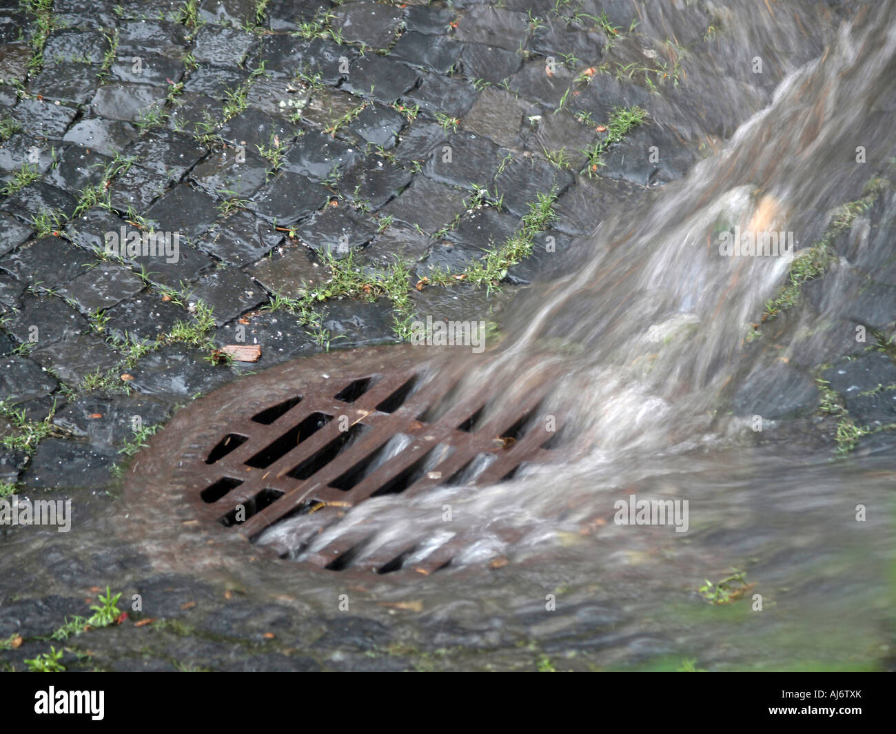 Darf Regenwasser Von Der Einfahrt Auf Die Strasse Laufen starker Regenwasser vom Straße laufen in eine Schlucht Stockfotografie