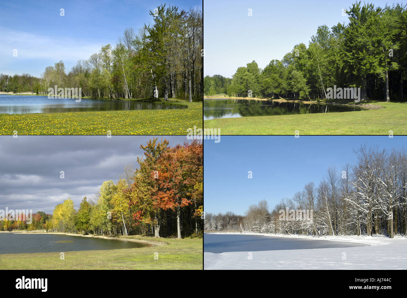 4 Vier Jahreszeiten Saison Bilder - Suche DENNIS MACDONALD 4 Jahreszeiten für eine komplette größere Auswahl Stockfoto