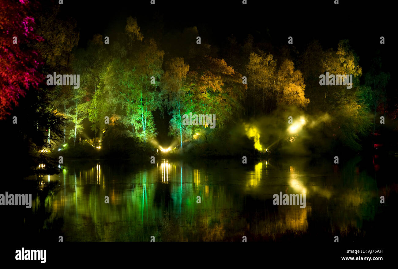 Enchanted Forest Beleuchtung Display, Perthshire, Schottland Stockfoto