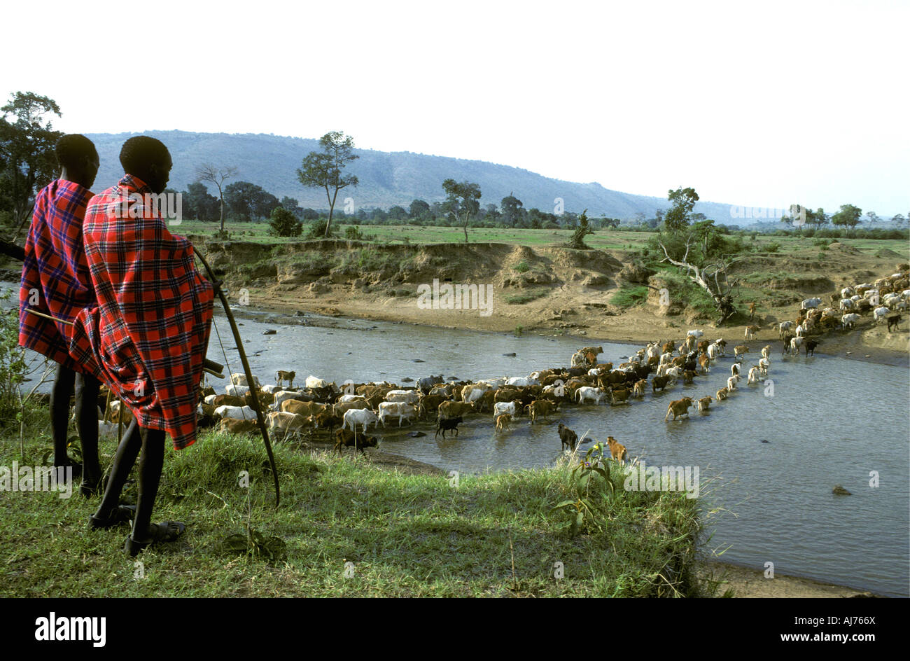 Zwei 2 Maasai-Männer an den Ufern von den Mara River Masai Mara National Reserve Kenia in Ostafrika Stockfoto