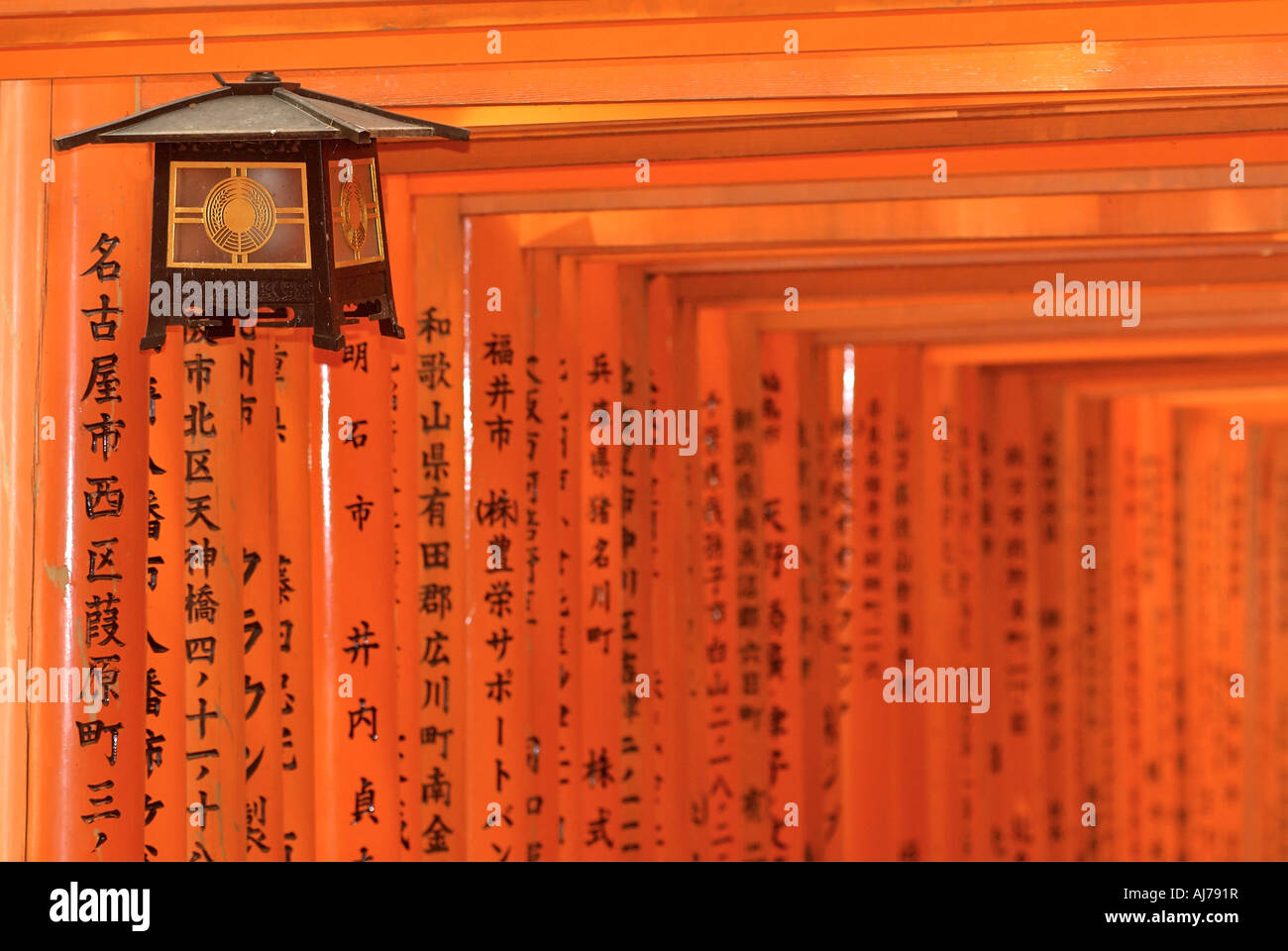 Orange lackiert Torii-Tore im Fushimi Inari-Taisha-Schrein in Kyoto Japan Stockfoto