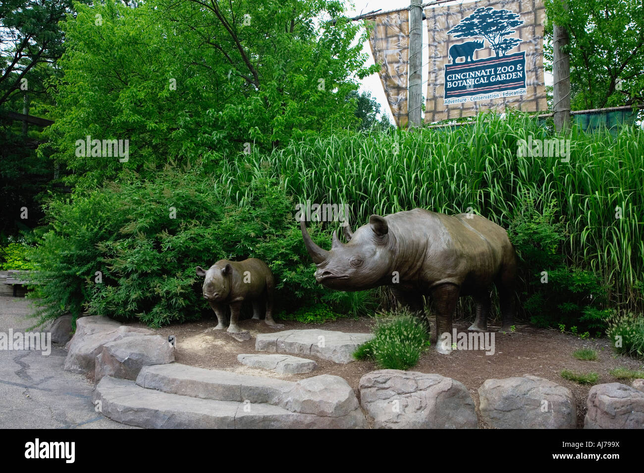 Leben wie Rhino Figuren am Eingang der Cincinnati Zoo und botanischen Garten Cincinnati Ohio Besucher begrüßen zu dürfen Stockfoto