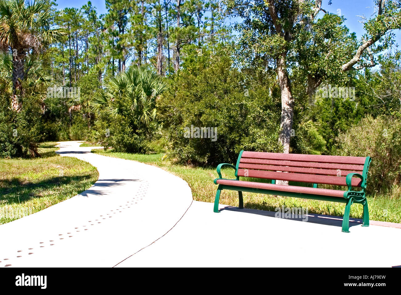 Bank durch einen Gang in den Wald in einem Park in Jacksonville, Florida Stockfoto