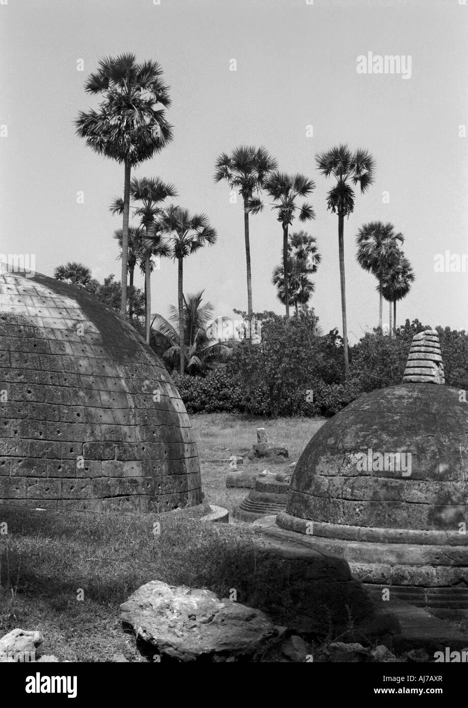 Die Stupas von Kantharodai im Norden von Jaffna, Sri Lanka. Stockfoto