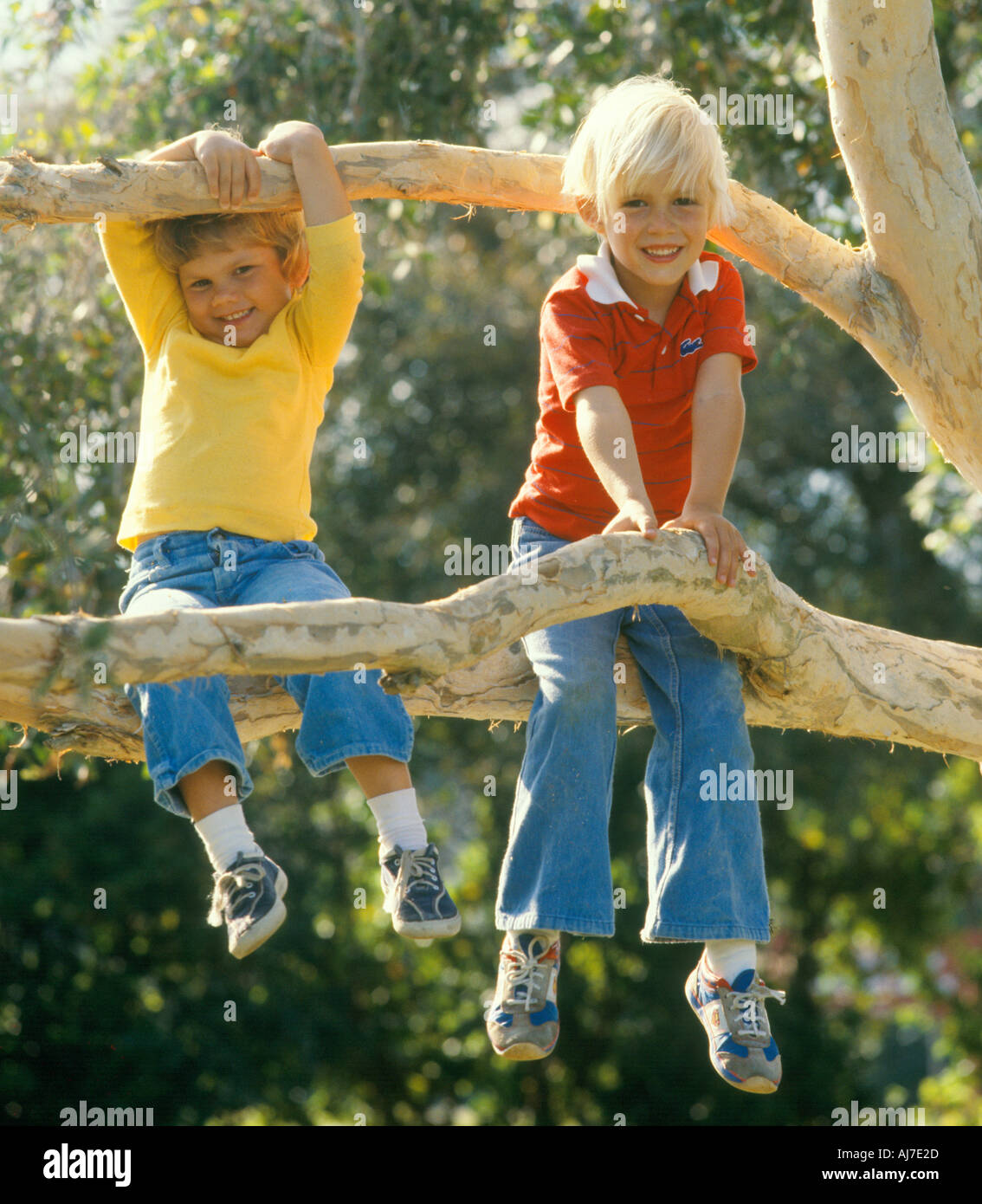 kleine Jungen und Mädchen im Baum klettern Stockfoto