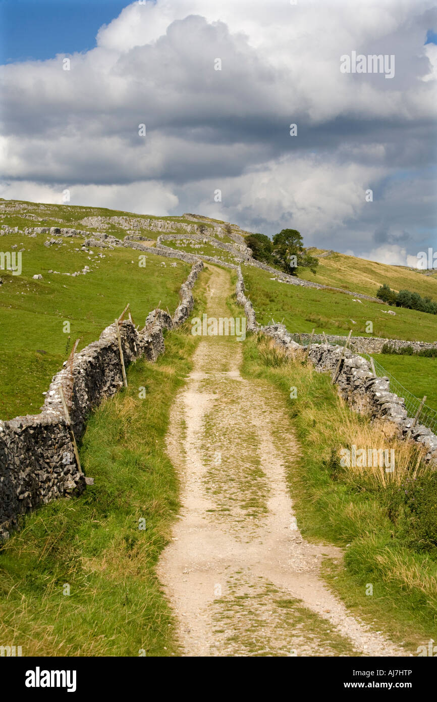 Green Lane in Yorkshire Dales Stockfoto