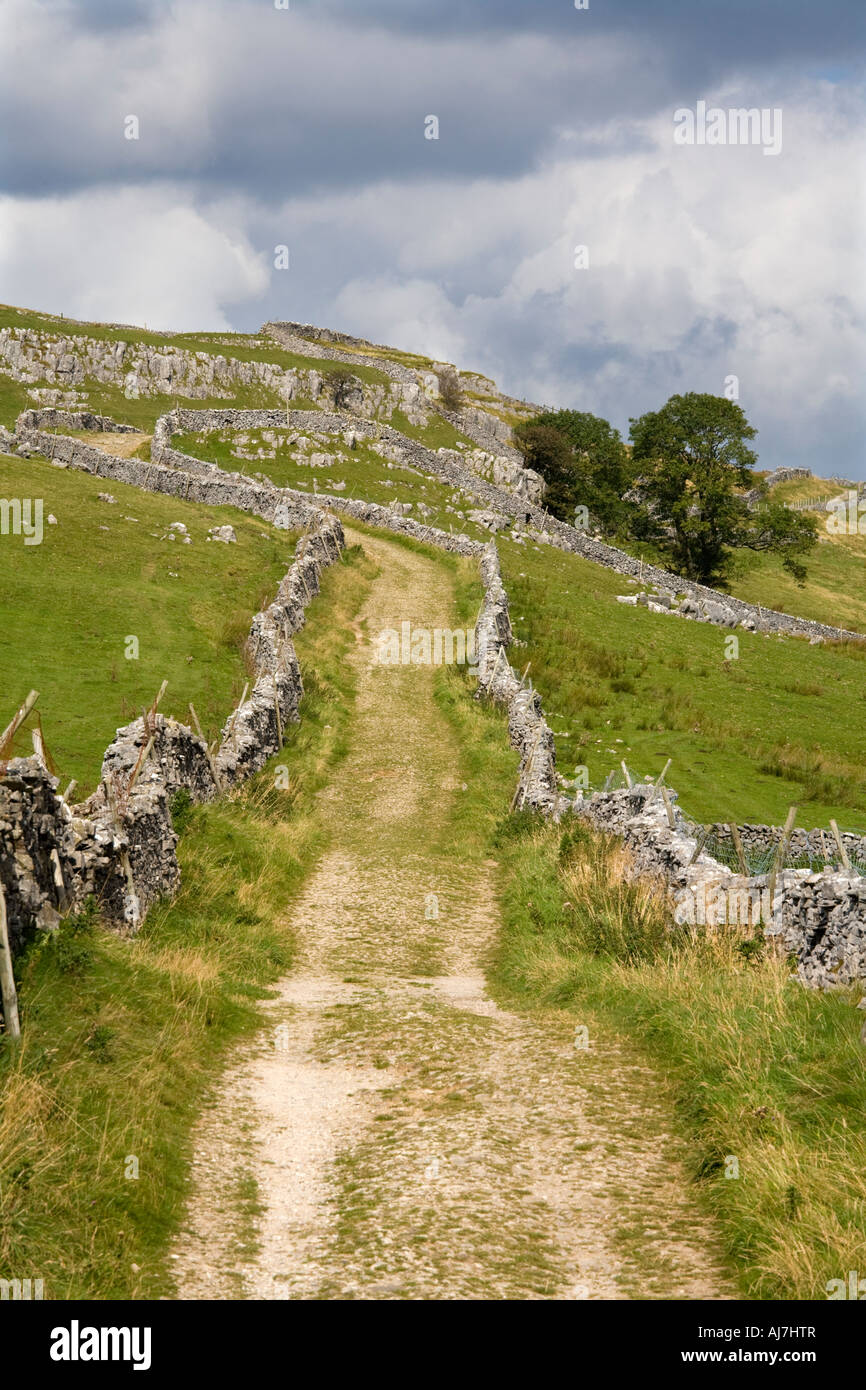 Green Lane in Yorkshire Dales Stockfoto