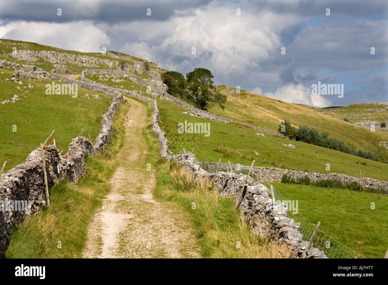 Green Lane in Yorkshire Dales Stockfoto
