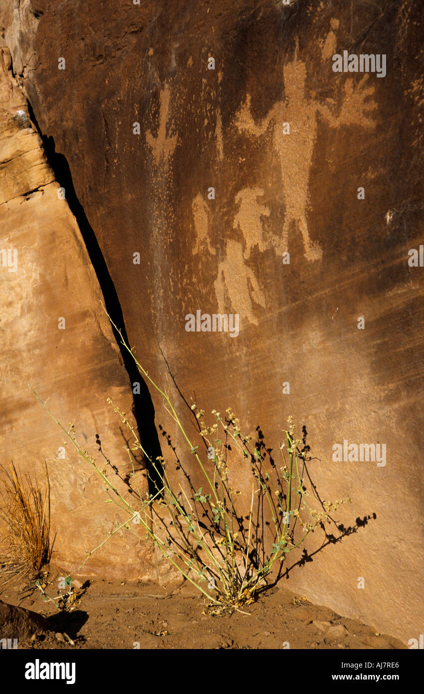 Fremont Petroglyphen Dinosaur National Monument Colorado Utah USA Stockfoto