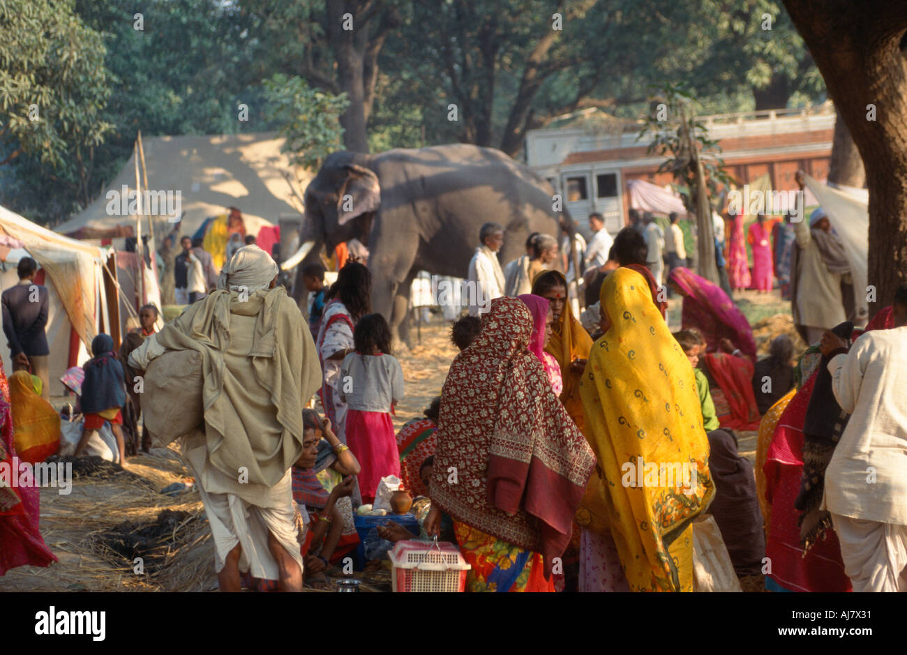 Scharen von Pilgern lagerten inmitten der Elefanten im Haathi Basar, Sonepur Mela, Sonepur, Bihar, Indien Stockfoto