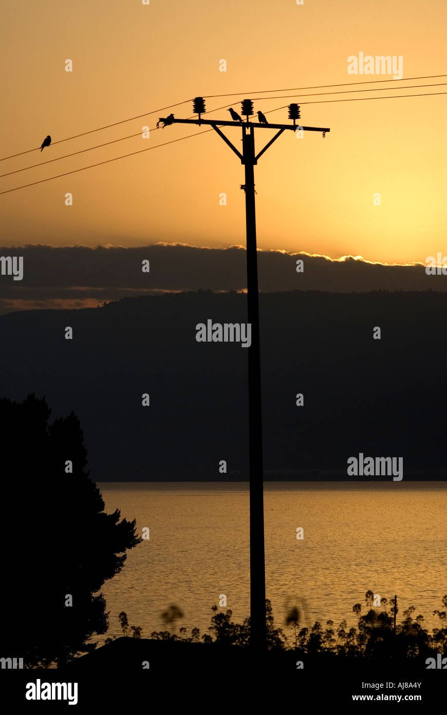 Niederspannung elektrische Strommast bei Sonnenuntergang Stockfoto