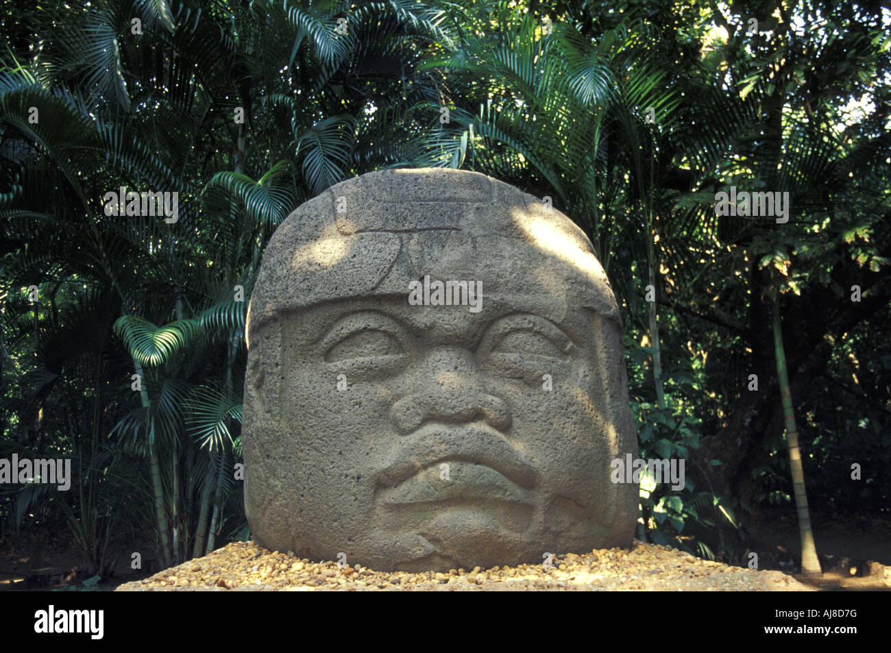 Kolossale Kopf der Olmeken, Denkmal 1, Parque Museo La Venta, Villahermosa, Mexiko Stockfoto