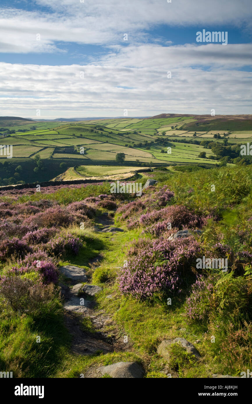 Eyam Moor Heide in Richtung Abney Low, Peak District National Park, UK Stockfoto