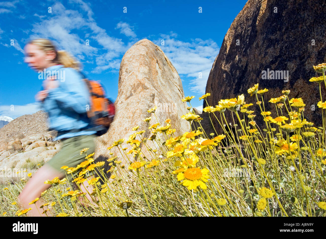 Tages-Wanderer zu Fuß unterwegs. Stockfoto