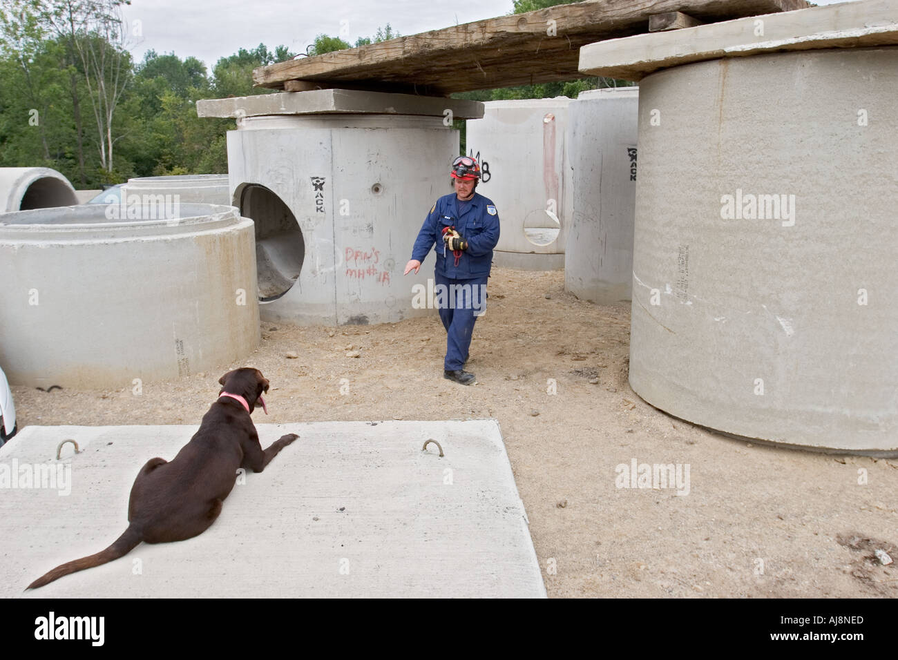 Hundetraining für Emergency Rescue Arbeit Stockfoto