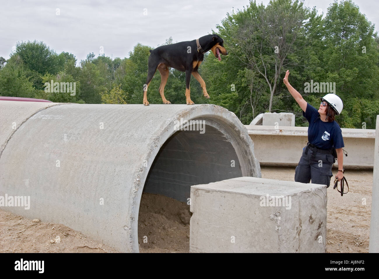 Hundetraining für Emergency Rescue Arbeit Stockfoto