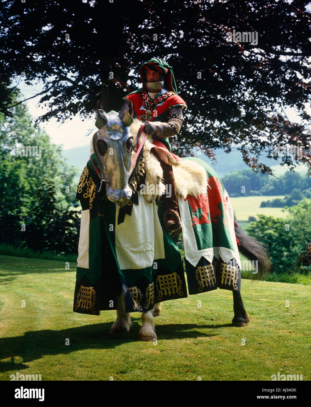 Schlacht von Bosworth - Henry Tudor Stockfoto