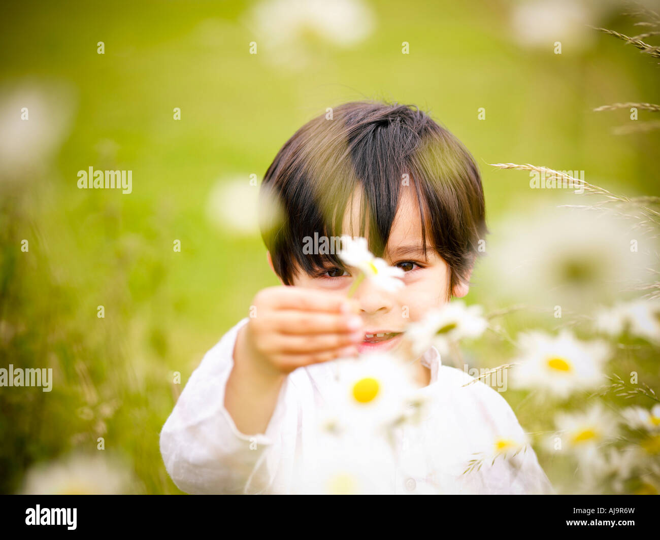 Porträt eines jungen mit Blumen Stockfoto