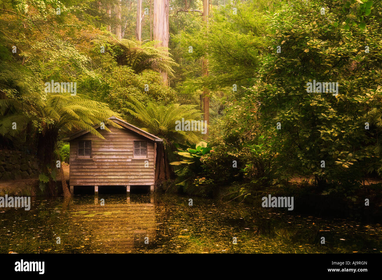 Boat House, Dandenong Ranges National Park, Victoria, Australien Stockfoto