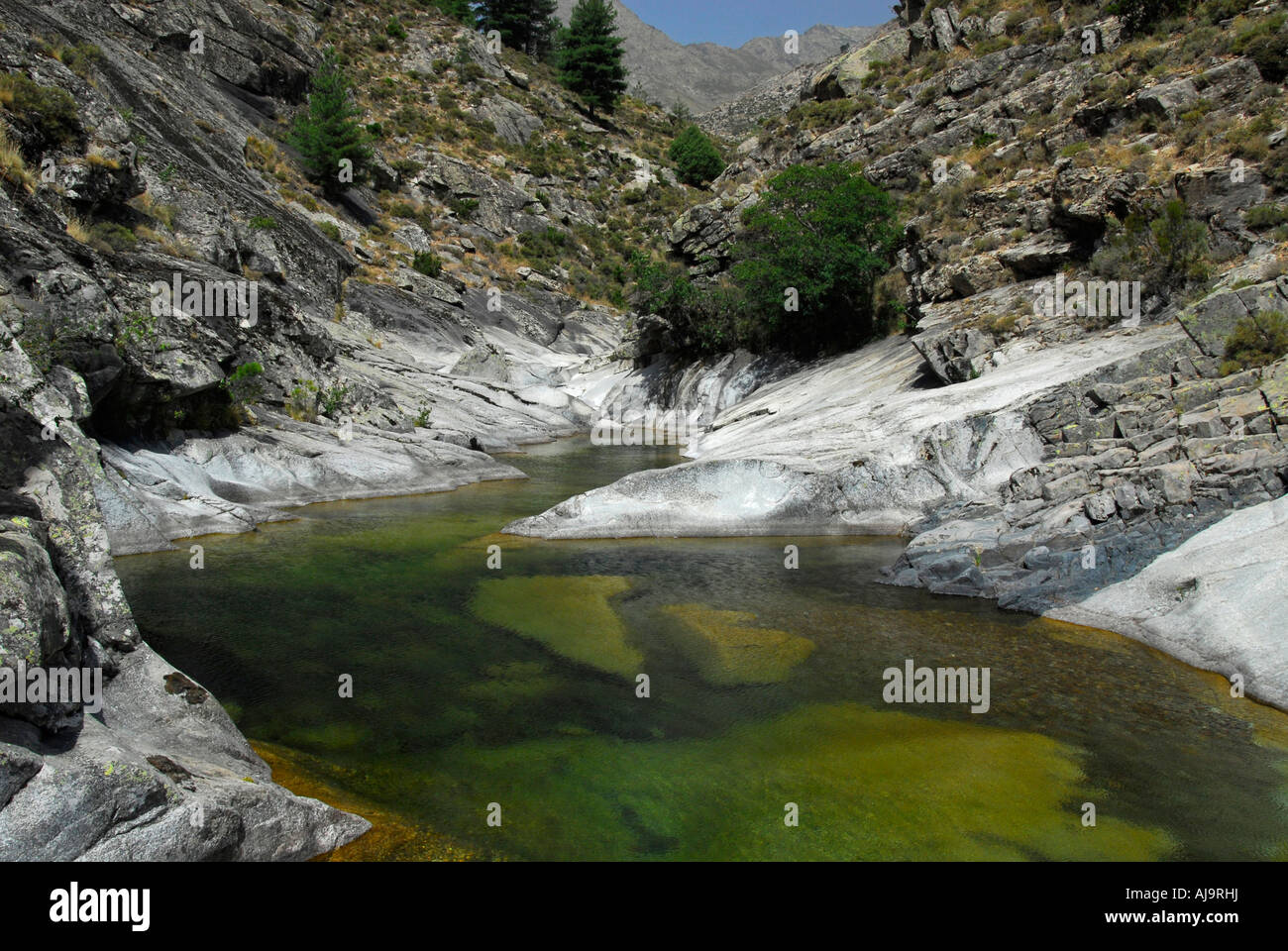 Golo Fluss, Korsika, Frankreich Stockfoto